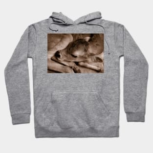 Newborn Hoodie